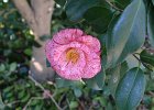 P1130728
