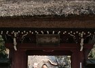 IMG 0027
